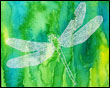 Tattered Wing